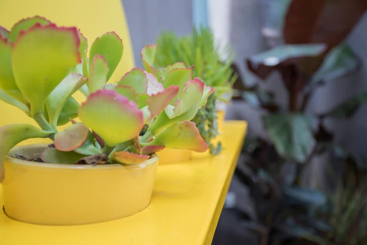 Liiiving In Porto - Clerigos Terrace Apartment エクステリア 写真